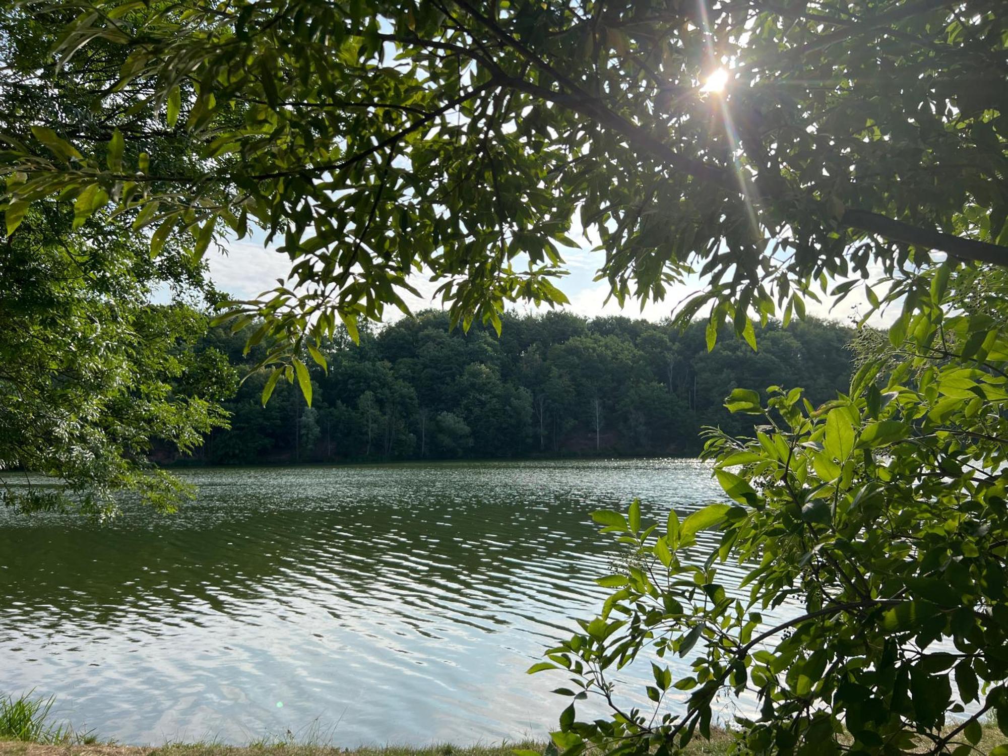 Ferienwohnungen Brenner Einchecken Und Wohlfuehlen Langenbernsdorf Экстерьер фото